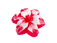 «�����», (������ �� ������� Escada Rockin Rio) ��� 80±5 � 75�.