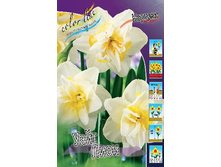 13,23���. ������� ���� ����(���������� ������ ������ ���������� �� 10 ��.).jpg