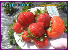 ��������� ���������.jpg