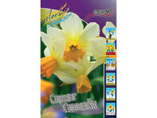 17,24���. ������� ������ �������(�������� ���� �� 10 ��., ����������� ����� 5��.).jpg