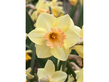 27,3���. ������� ���������(�������� ���� �� 7 ��., ����������� ����� 2��.)���17.jpg