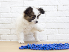 ������ 2 ���. 1