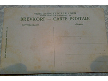 ����2 (1).jpg