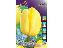 13,23���. ������� �������(���������� ������ ������ ���������� �� 10 ��.).jpg