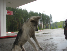 IMG 7452.JPG