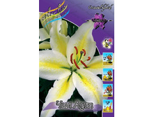 21,4���. ����� ��� ���(�������� ���� �� 7 ��., ����������� ����� 3��.).jpg