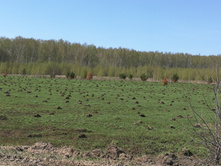 IMG 20170501 123656.jpg