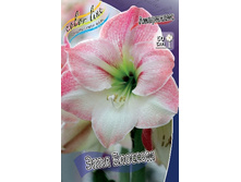 216,9���. ��������� ���� �������(���������� ������ ������ ���������� �� 1 ��.).jpg