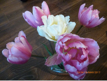 ���� ������