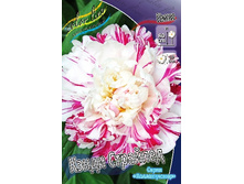 1516,3���. ���� ����� ��������(�������� ���� �� 1 ��., ����������� ����� 1��.).jpg