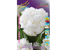 25,11���. ������� ���� ���(�������� ���� �� 10 ��., ����������� ����� 5��.)���17.jpg