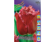 13,97���. ������� �������(���������� ������ ������ ���������� �� 10 ��.).jpg