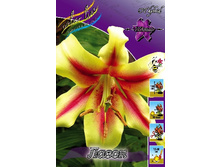 26,66���. ����� �����(�������� ���� �� 5 ��., ����������� ����� 3��.).jpg