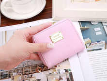 260 ���. - ������� ��������� "SJ-2" (�������)