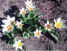 IMG 20170501 145457.jpg