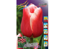 14,42���. ������� ������(���������� ������ ������ ���������� �� 10 ��.)���16.jpg