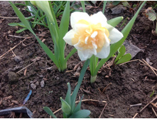 ������� ������ �������