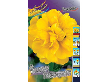 12,19���. ������� ������ ���������(���������� ������ ������ ���������� �� 10 ��.).jpg