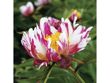 387,8���. ���� �������������(���������� ������ ������ ���������� �� 1 ��.)���17.jpg