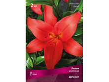 ����� �������.jpg