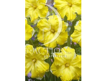 18,43���. ������� ������ �� ������(�������� ���� �� 10 ��., ����������� ����� 5��.)���17.jpg