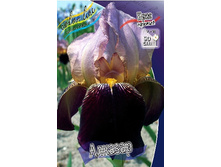 81,8���. ���� ���������� �������(�������� ���� �� 2 ��., ����������� ����� 1��.).jpg