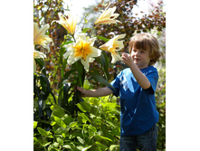 26,18���. ����� ��� ��(�������� ���� �� 6 ��., ����������� ����� 3��.).jpg