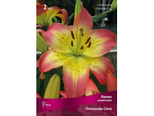 ����� �������� ����.jpg