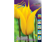 19,91���. ������� �� ����(�������� ���� �� 10 ��., ����������� ����� 5��.).jpg