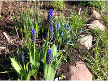 ������� ����������