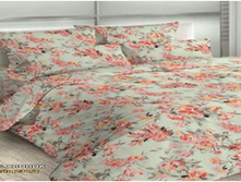 ����� �����������