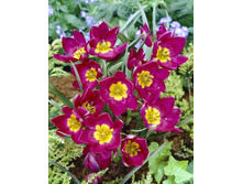 11���. ������� ��������(���������� ������ ������ ���������� �� 10 ��.).jpg