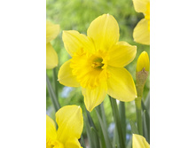 8,77���. ������� �������(���������� ������ ������ ���������� �� 10 ��.)���17.jpg