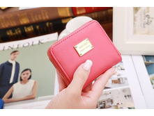 260 ���. - ������� ��������� "SJ-2" (������)