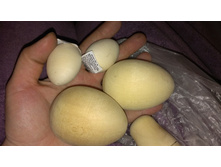 80� �� ��� 4��