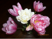 ���� ������