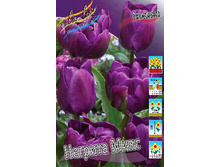 13,67���. ������� ������� ����(���������� ������ ������ ���������� �� 10 ��.)���16.jpg