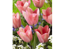 11,74���. ������� ���� ����(���������� ������ ������ ���������� �� 10 ��.).jpg