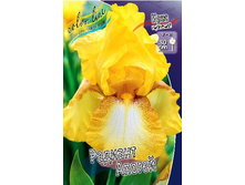 81,8���. ���� ���������� ������� ������(�������� ���� �� 2 ��., ����������� ����� 1��.).jpg