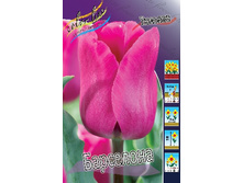 16,2���. ������� ���������(�������� ���� �� 10 ��., ����������� ����� 5��.).jpg