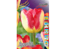 15,31���. ������� �������(�������� ���� �� 10 ��., ����������� ����� 5��.)���16.jpg