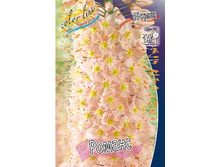 162���. ����� (eremurus) ������(���������� ������ ������ ���������� �� 1 ��.).jpg