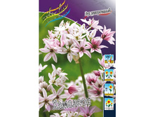 10,05���. ��� �����. ��������(���������� ������ ������ ���������� �� 15 ��.).jpg