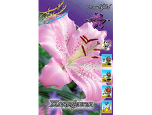 35,06���. ����� ��������(�������� ���� �� 5 ��., ����������� ����� 3��.).jpg