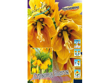 178,3���. ����������� ������� �����(�������� ���� �� 2 ��., ����������� ����� 1��.).jpg