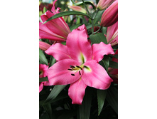 34,6���. ����� ��������(�������� ���� �� 5 ��., ����������� ����� 3��.).jpg