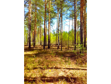 IMG 20170507 125853.jpg