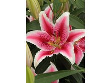 27,76���. ����� ������(�������� ���� �� 5 ��., ����������� ����� 3��.).jpg