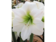 220,7���. ��������� ����������(���������� ������ ������ ���������� �� 1 ��.)���17.jpg