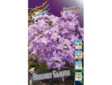 6,54���. ���������� ������ �����(���������� ������ ������ ���������� �� 10 ��.).jpg